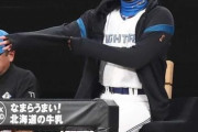 新庄監督「今は故障者が戻ってきた時に打順を固定する方法を探している」