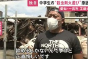 クソガキ「蜂の巣やんけ！ガス缶火炎放射器で焼いたろw」←これの結果・・・