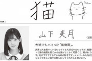 山下美月、最近のマイブームは『猫』！