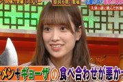 人気芸人からも総ツッコミ！日向坂46佐々木久美、大喜利でまた腕を上げる！！【THE突破ファイル】