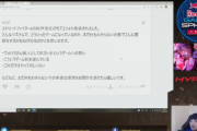 ウメハラ選手が語るスト6への思い「スト5がコケたのに6を作ってくれてありがとう」「頑張って攻めた側、体力リードした側が理不尽な思いをするゲームにはして欲しくない」