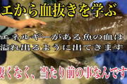 【衝撃】魚の神経抜きでぶっといプルプルの脊髄神経がビュルッと飛び出す動画
