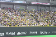 札幌ドームの阪神ファンの正体ｗｗｗ