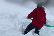 なぎちゃんの豪快過ぎる雪かきをご覧くださいwwwwwwww