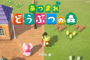 どうぶつの森でなんで人気あるかわからない住人