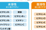 【悲報】ビタミンさん、種類が多すぎる。。