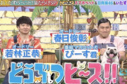 【日向坂46】若林、どうぶつピースではひなあいモードで強めのガヤを入れるｗｗｗｗｗｗｗｗｗｗｗｗ