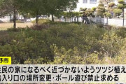 【長野市公園廃止】名誉教授が反論、近隣住民に「あなたとは次元が違いますよ」