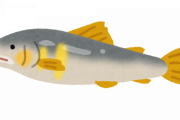 一番旨い川魚決まる