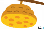 庭のすみに蜂の巣作られてるんだけど・・・