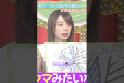 矢田萌華は‍？？？ #矢田萌華 #川﨑桜 #オズワルド #乃木坂46 #samenumbers #乃木坂スター誕生