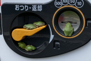 【画像】　カエルさん、自販機を占拠してしまうｗｗｗｗｗｗｗｗｗ