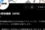 【心霊】NPB公式のヘッダーに山川ｗｗｗｗｗｗｗｗｗｗｗｗｗｗｗｗｗｗｗｗｗｗｗｗ