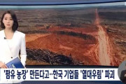 韓国人「国際社会が韓国大手企業を批判！」韓国企業がインドネシアの熱帯雨林を破壊し、毒性除草剤を散布！→「韓国人として本当に恥ずかしい」　韓国の反応