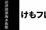 現行けものフレンズファンが沼津港深海水族館に行くけもフレファンのためにスタンプ用のポストカードをプリントできるようにする