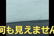 【悲報】ホワイトアウトで何も見えない道路を撮影した動画の結末ｗｗｗｗｗｗｗｗｗｗｗｗ