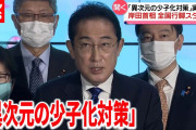 韓国人「日本の少子化対策　異次元？とかいってるが、まさに異次元だった」