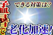 楽韓さん、本日の動向 - なんか電子書籍で無茶苦茶なセール多くない？