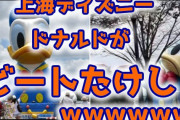 【悲報】上海ディズニーのドナルド、ビートたけしの首みたいになるｗ （画像あり）
