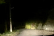 【怖すぎる】夜の山道を女１人で歩くとこうなる→