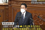 【岸田首相、声を荒らげ「ワクチン全然進んでいないじゃないか」】という記事が話題に❓❗