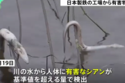 (ヽ´ん`)「1枚目の鳥さん可愛そう」