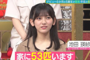 池田瑛紗｢家に53匹います｣【乃木坂46】