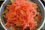 牛丼屋で紅生姜アホみたいにかけて食ってるやつってなんなの？
