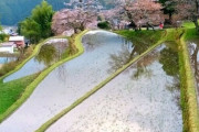 【画像】今から棚田の田植えするやで
