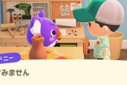 【あつまれどうぶつの森】住民に何度も話しかけたらちょっと一人にしてって言われたんだが…