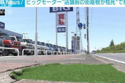【悲報】ビッグモーター店舗前の街路樹が枯死する怪現象、群馬県が被害届提出