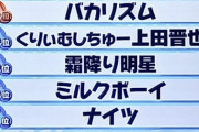 「有能風無能芸人といえば？」→なんJ民の回答、8割一致する説