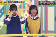 掛橋πは可変式なんか？？【乃木坂46】