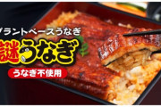 【画像】日清食品から出てる偽うなぎ、レベチｗｗｗｗｗｗｗｗ