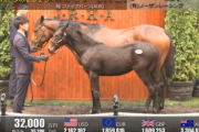 ショウナン国本氏、キズナ産駒3億2000万円「この馬が僕の夢をかなえてくれる」