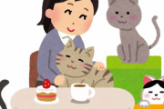 猫カフェって店員は人間なのかよ…