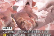 【悲報】 魚、いよいよ誰も食べてなかった……