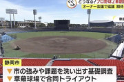 プロ野球の新たな2軍球団を公募　2チームほどが2024年シーズンから参入