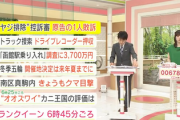【北海道警ヤジ排除訴訟】原告の1人が逆転敗訴 （ヽ´ん`）「安倍の亡霊にやられた」「いけにえとして僕の判決が選ばれたのでは」