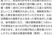 【朗報】ヤフコメ民さん、「熊を殺すな！」抗議電話への正解の対応を披露してしまう・・・