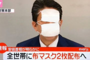アベノマスク（評価：量Ｓ・大きさＤ・清潔さＣ）←こいつが天下取れなかった理由ｗｗｗｗｗｗｗ
