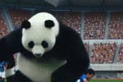 中国人「サッカー中国U17代表の日本人監督・浮嶋氏への非難が理解できない」　中国人「クラウツンの時と全く同じ」「中国の伝統芸能」