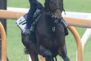 なんJ競馬　有馬記念予想