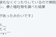 【画像】体調不良の猫を病院に連れて行ったら医者から衝撃の診断・・・