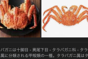 【怒り】タラバガニ、蟹じゃなかった〓〓〓【詐欺】