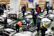 【朗報】マグロの初競 → 2億とんで700万wwwww