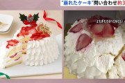 マスコミがダイハツの不正忘れて崩れてるだけの高島屋のクリスマスケーキに夢中なの笑っちゃうよなｗｗｗｗｗｗｗｗｗ