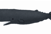 【画像】クジラ、でかすぎるｗｗｗｗｗｗｗｗｗｗｗ