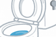 【画像】トイレに書かれた落書きが的確すぎてワロタｗｗｗ