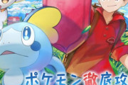 ポケモン徹底攻略管理人さんの小学生時代のポケモンノートｗｗｗｗｗ（※画像）